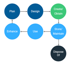 Capture-Mar-31-2023-06-25-55-3526-PM